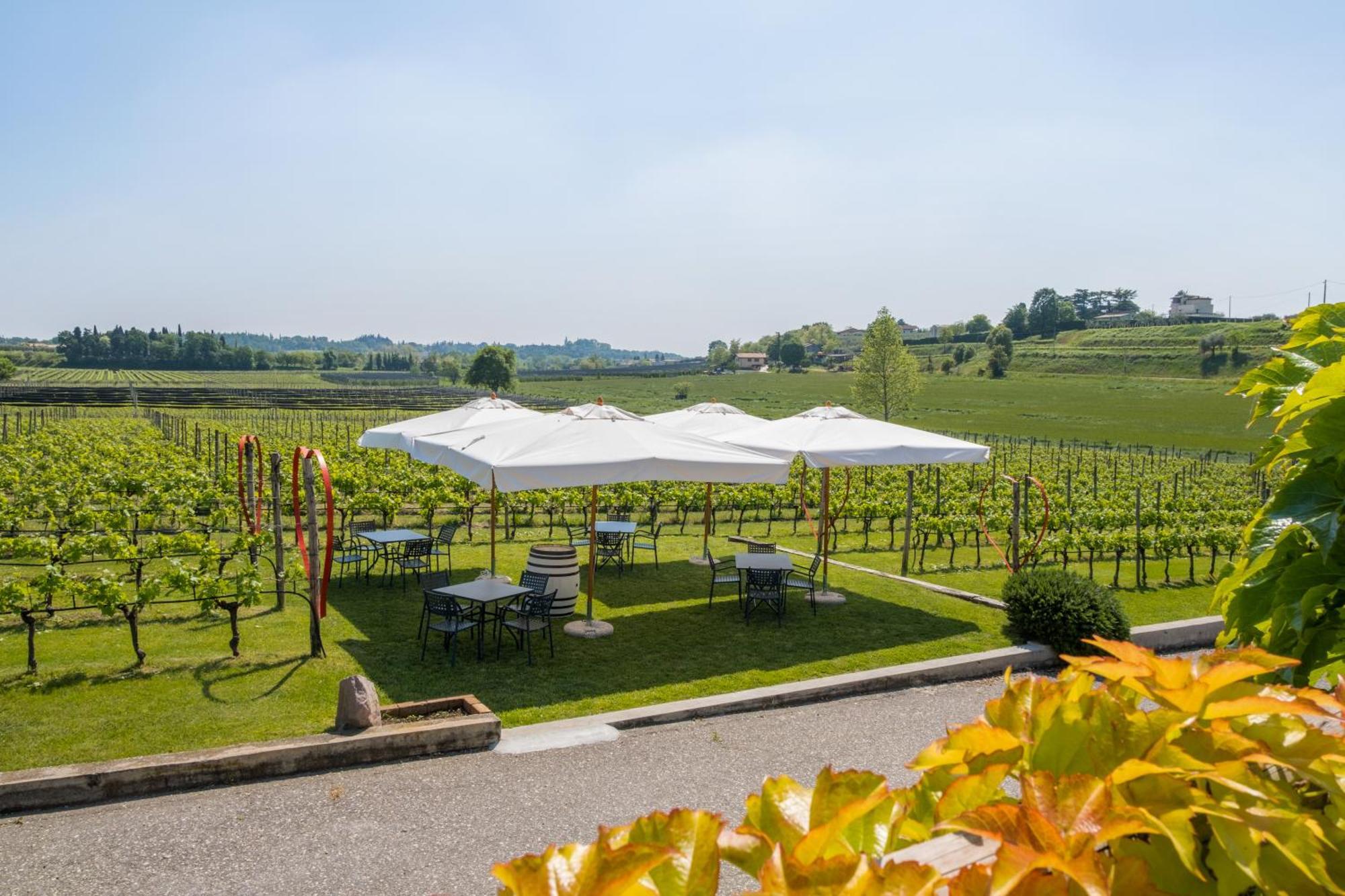 Agriturismo Le Ginestre Lazise Exterior foto